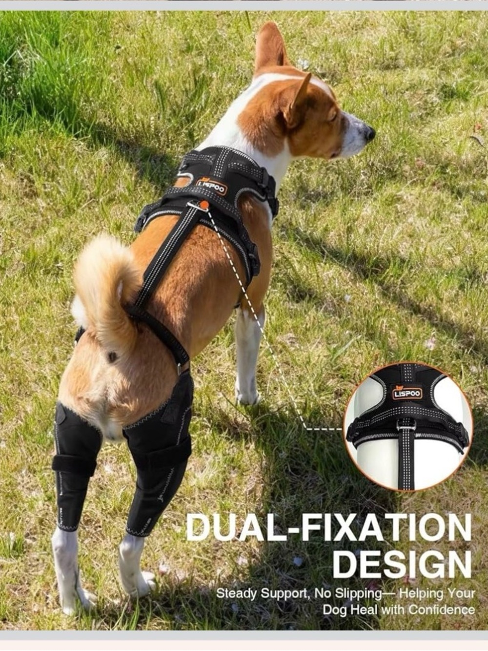 Adjustable Black Rear Support Harness for Dogs - Mobility Aid - Picture 4 of 11